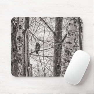 Red-tailed Hawk P8443 Mouse Pad