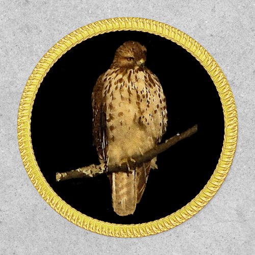 Red Tailed Hawk Patch