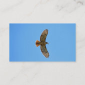 Red-Tailed Hawk Photo Business Card (Back)