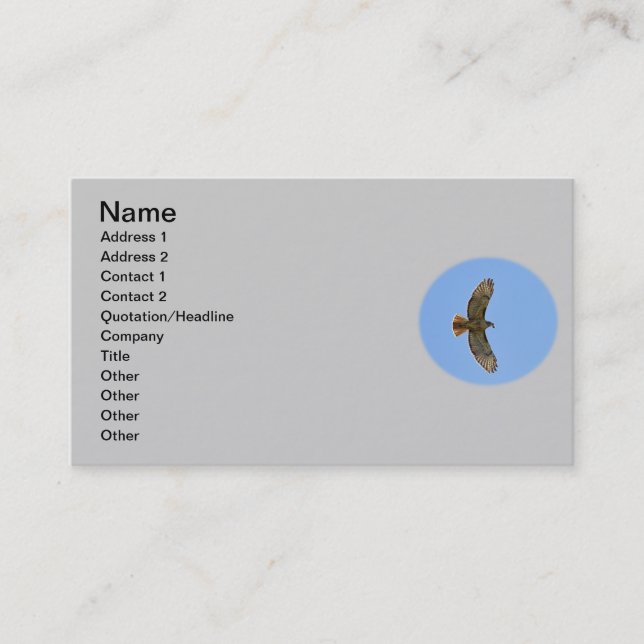 Red-Tailed Hawk Photo Business Card (Front)