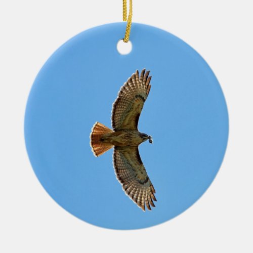 Red_Tailed Hawk Photo Ceramic Ornament