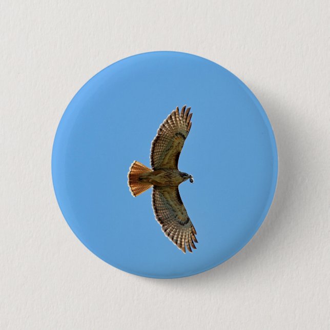 Red-Tailed Hawk Photo Pinback Button (Front)