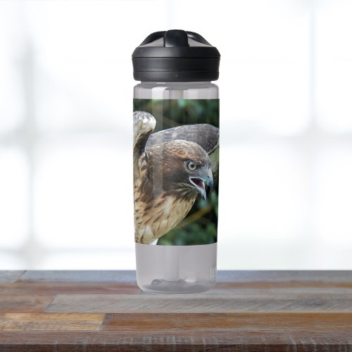 Red_tailed Hawk Photo Water Bottle