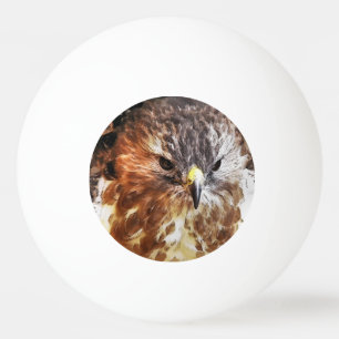 RED TAILED HAWK PING PONG BALL