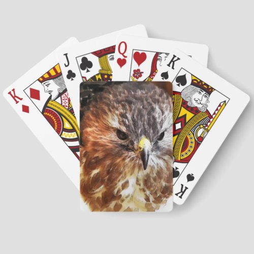 RED TAILED HAWK PLAYING CARDS