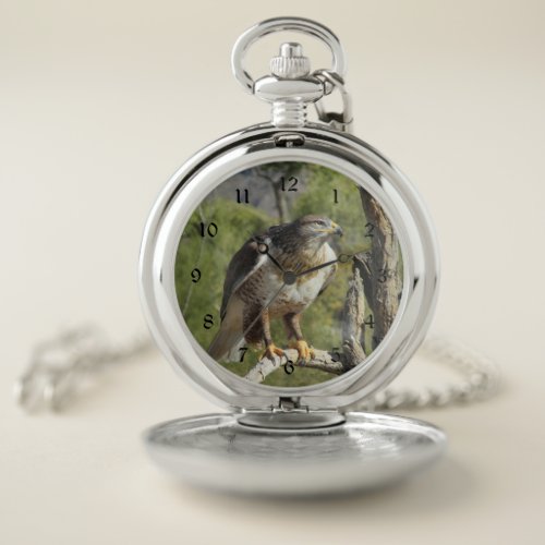 Red Tailed Hawk Pocket Watch