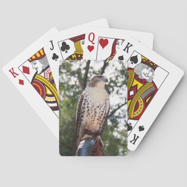Red-Tailed Hawk Poker Cards (Back)