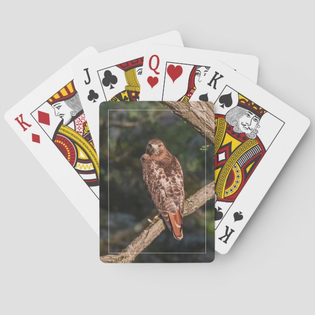 Red-tailed Hawk Poker Cards (Back)