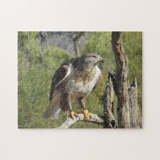 Red Tailed Hawk Puzzle