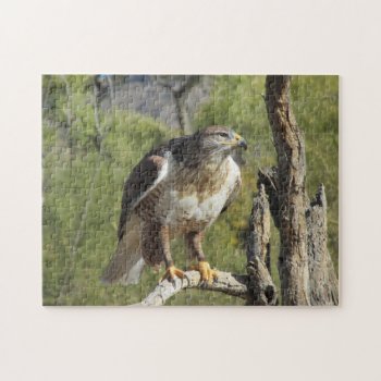 Red Tailed Hawk Puzzle by ingasi at Zazzle
