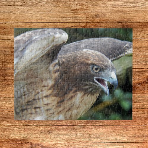 Red_tailed Hawk Raptor Animal Jigsaw Puzzle