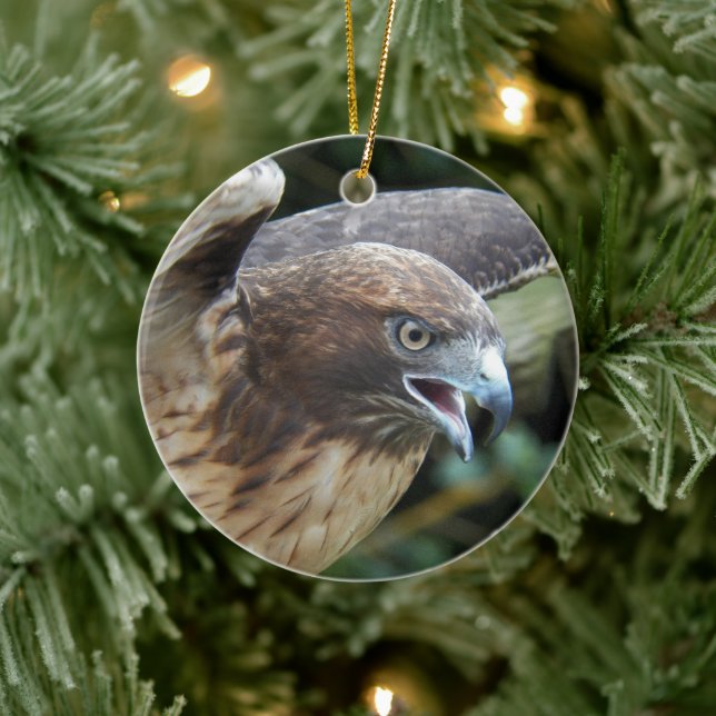 Red-tailed Hawk Raptor Photo Ceramic Ornament (Tree)