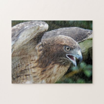 Red-tailed Hawk Raptor Photo Jigsaw Puzzle