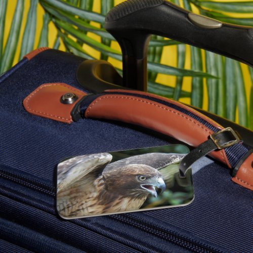 Red_tailed Hawk Raptor Photo Luggage Tag