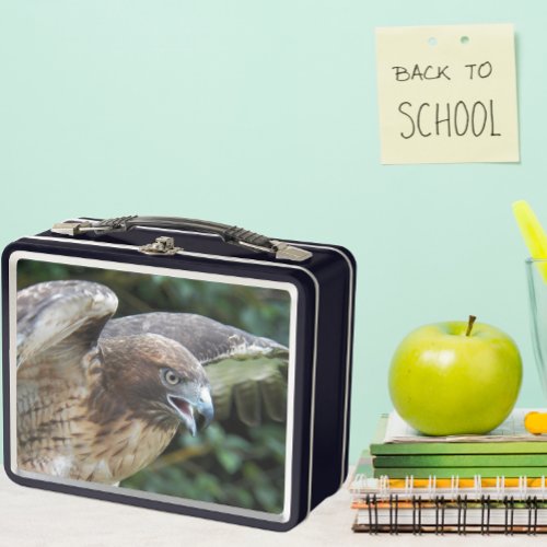 Red_tailed Hawk Raptor Photo Metal Lunch Box