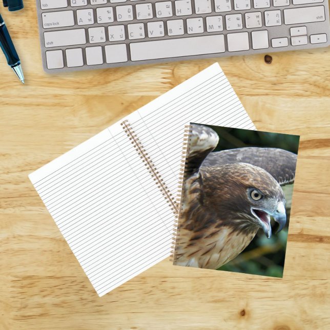 Red-tailed Hawk Raptor Photo Notebook (In Situ)