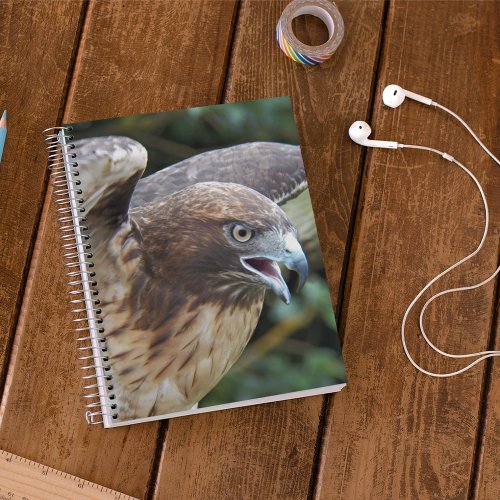 Red_tailed Hawk Raptor Photo Notebook