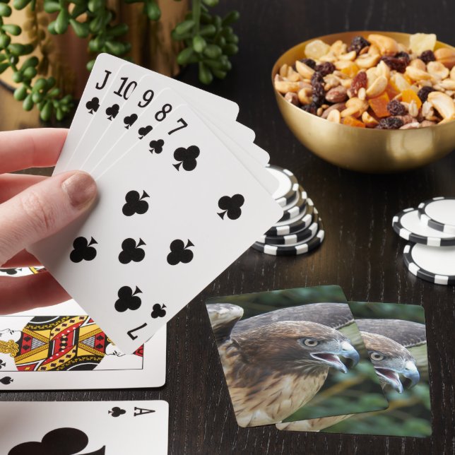Red-tailed Hawk Raptor Photo Poker Cards (In Situ)