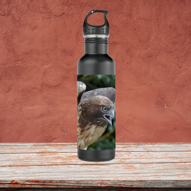 Red-tailed Hawk Raptor Photo Stainless Steel Water Bottle (In Situ)