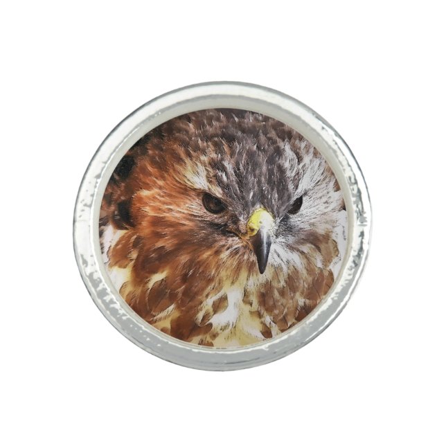 RED TAILED HAWK RING (Front)