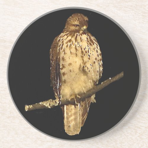 Red Tailed Hawk Sandstone Coaster