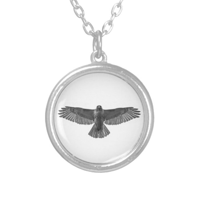 Red-tailed Hawk Silver Plated Necklace (Front)