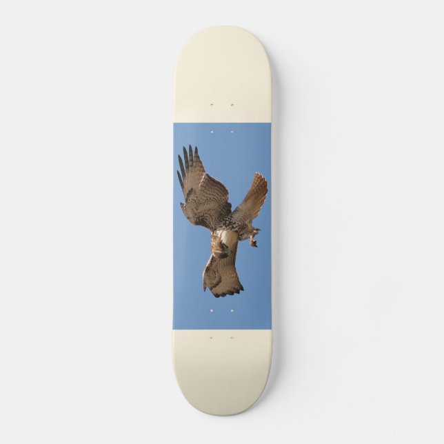 Red-Tailed Hawk Skateboard (Front)