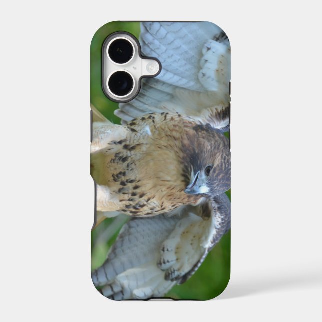 Red-tailed Hawk Spread Wings Iphone Case (Back)