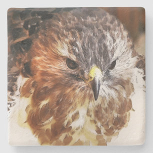 RED TAILED HAWK STONE COASTER