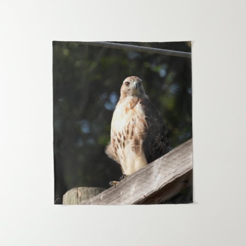 Red Tailed Hawk Tapestry _ small