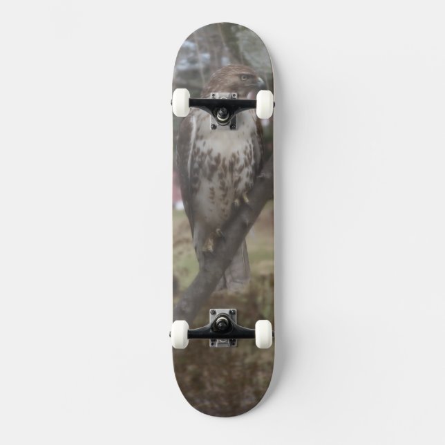 Red-tailed Hawk Tree Branch Skateboard Deck (Front)