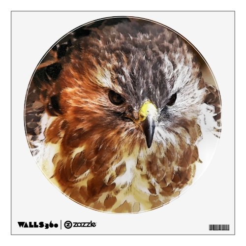 RED TAILED HAWK WALL STICKER