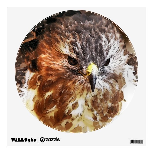 12.6 wide x 15 tall Red Tailed Hawk Wall Decal 
