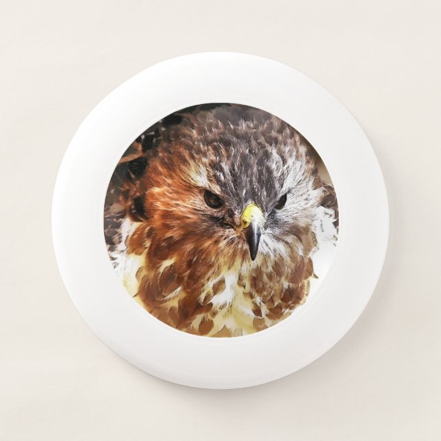 RED TAILED HAWK   Wham-O FRISBEE (Front)