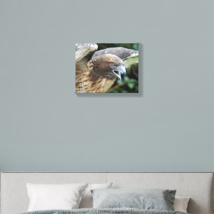 Red-tailed Hawk Wildlife Photo Canvas Photo Tile