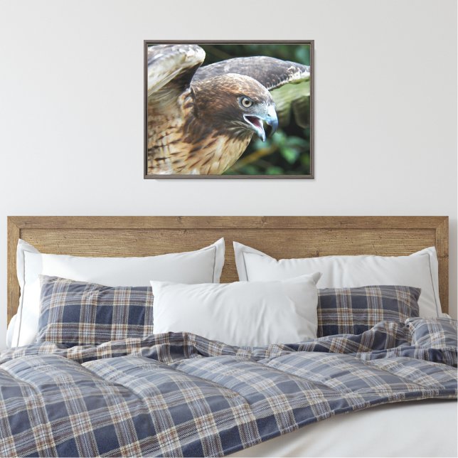Red-tailed Hawk Wildlife Photo Canvas Print (Insitu(Bedroom))
