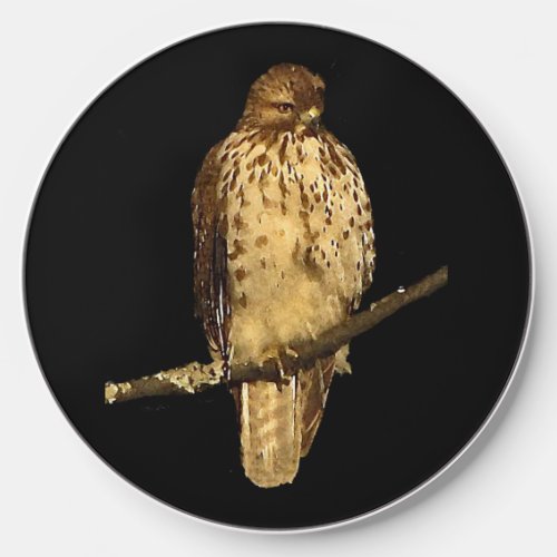 Red Tailed Hawk Wireless Charger