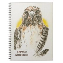 Red Tailed Hawk with Feathers Art