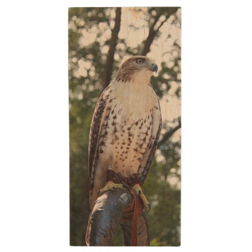 Red_Tailed Hawk Wood Flash Drive