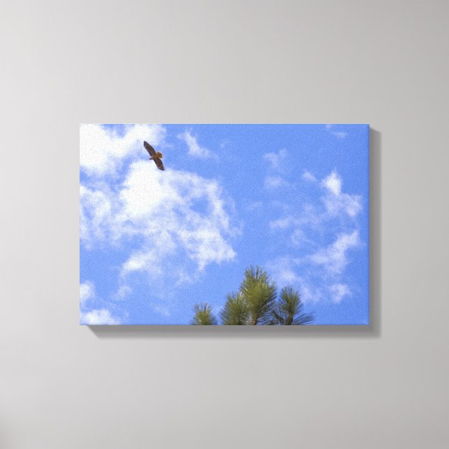 Red Tailed Hawk  Wrapped Canvas Print (Front)