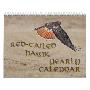 Red-tailed Hawk Yearly Calendar