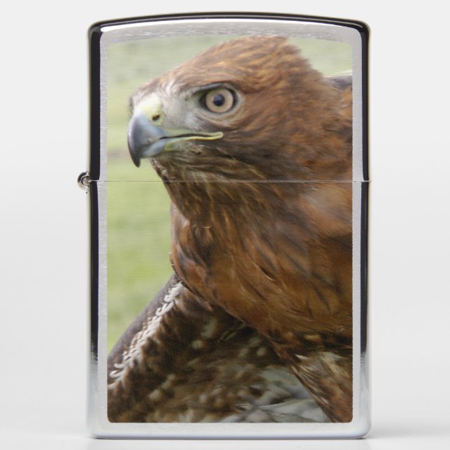 RED TAILED HAWK ZIPPO LIGHTER (Front)