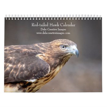 Red-tailed Hawks 2024 Calendar by debscreative at Zazzle