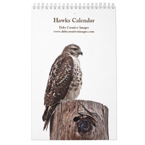 Red Tailed Hawks 2024 Calendar