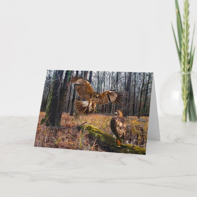 "Red-Tailed Hawks" Greeting Card (Front)