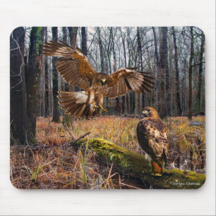 "Red-Tailed Hawks" Mouse Pad