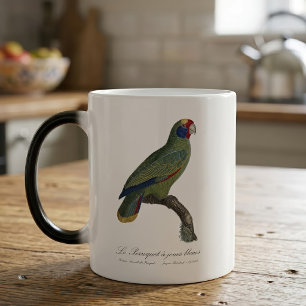 Red-Tailed Parrot Amazon, Amazona Brasiliensis Color Morph Mug