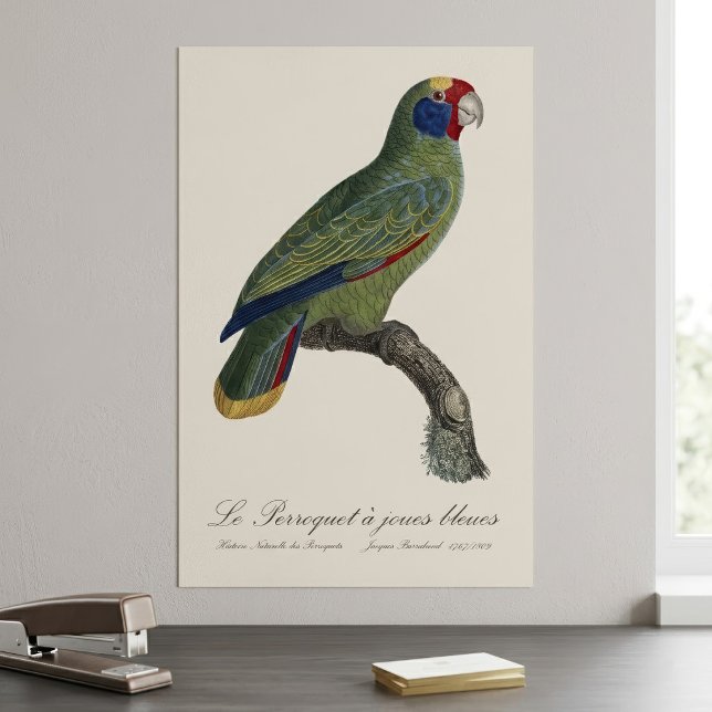 Red-Tailed Parrot Amazon, Amazona Brasiliensis Poster (Red-Tailed Parrot Amazon, Amazona Brasiliensis. Poster)