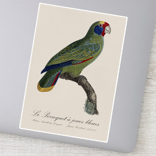 Red-Tailed Parrot Amazon, Amazona Brasiliensis Sticker