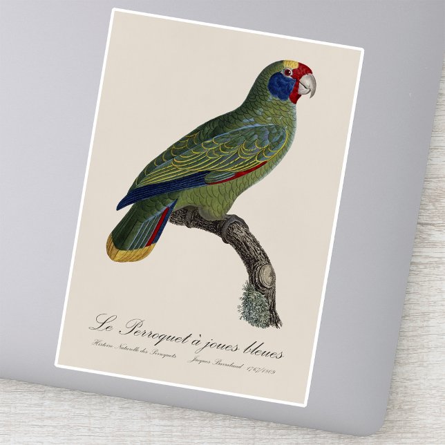 Red-Tailed Parrot Amazon, Amazona Brasiliensis Sticker (Red-Tailed Parrot Amazon, Amazona Brasiliensis. Sticker)